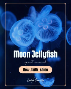 spirit animal, moon jellyfish, gaia, consciousness, spiritual meaning