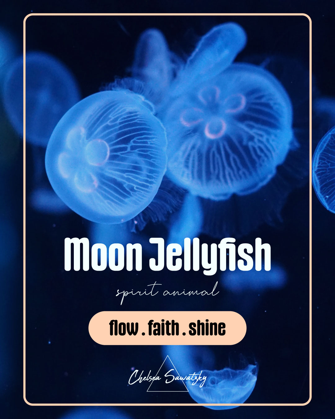 spirit animal, moon jellyfish, gaia, consciousness, spiritual meaning