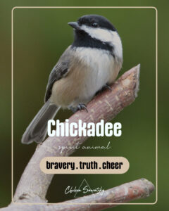 Chickadee, spirit animal, spiritual meaning