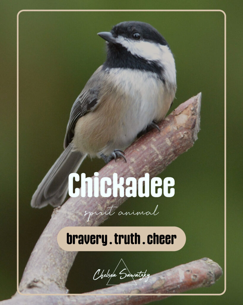 Chickadee, spirit animal, spiritual meaning